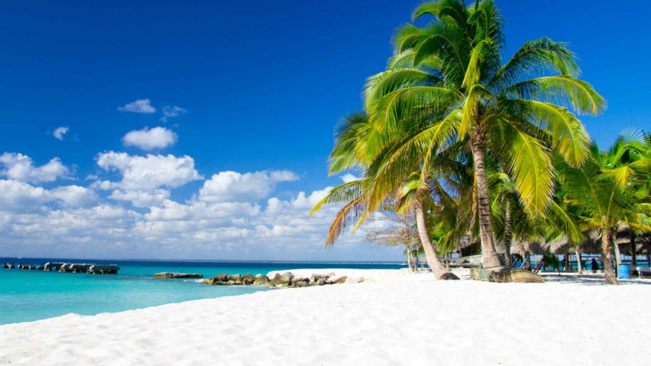 portfolio_03 portfolio_03