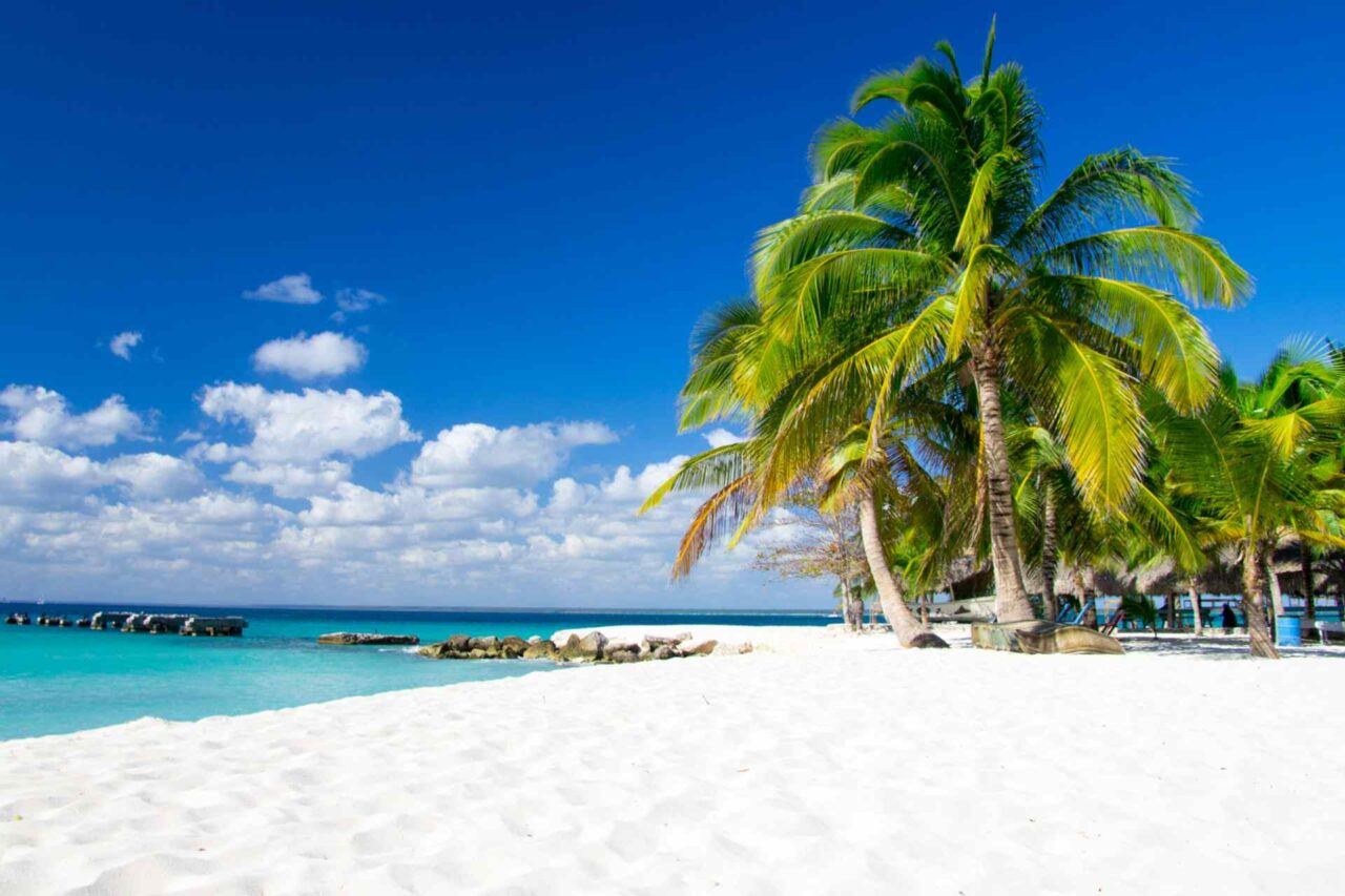 portfolio_03 portfolio_03