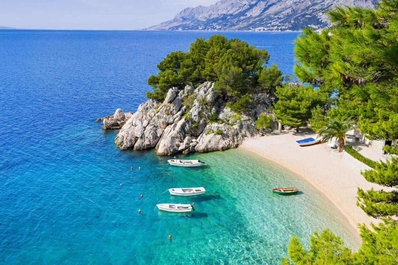 portfolio_05 portfolio_05