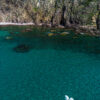 Tour Carloforte - immagine 33